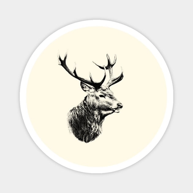 Deer portrait Magnet by Guardi